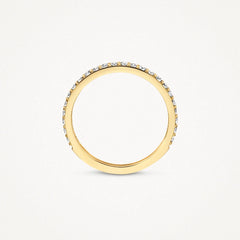 Blush Memoire Ring in 585/14 Karat mit Zirkonia - 1244YZI